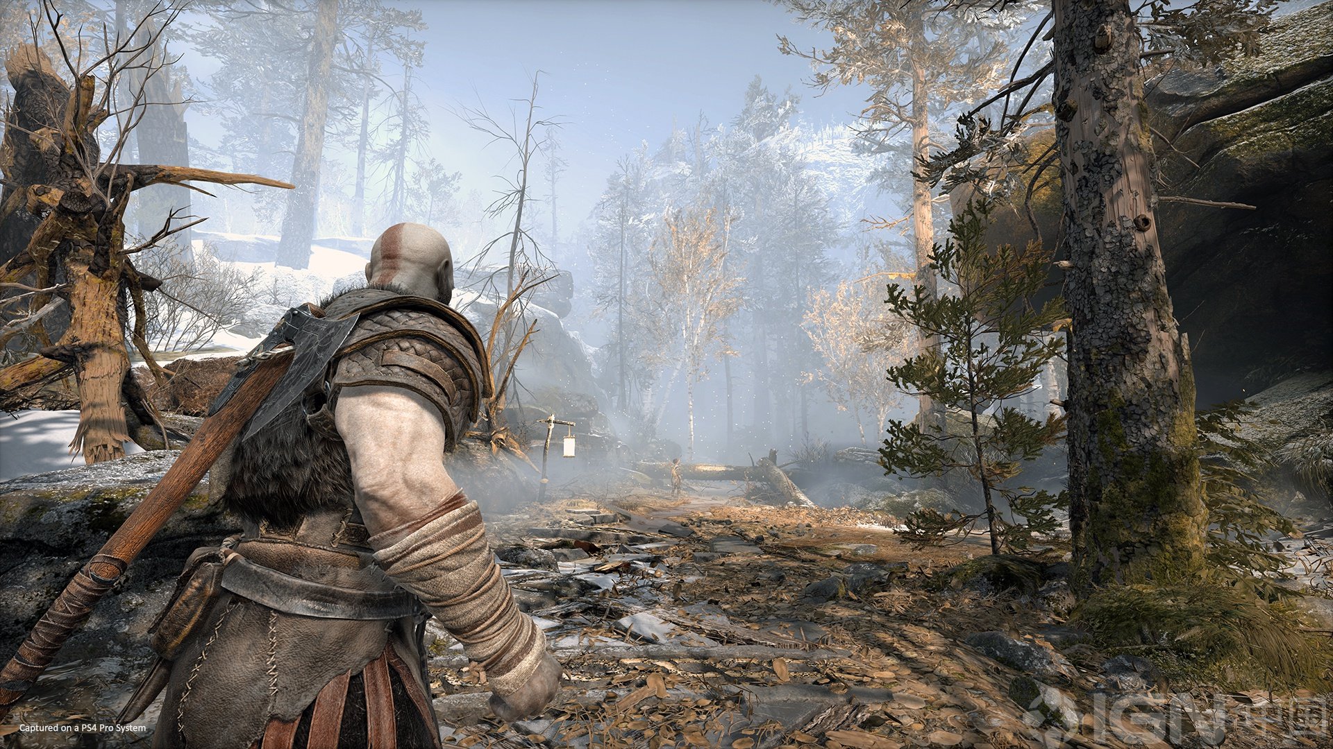 艾尔登法环 终极版 截图7