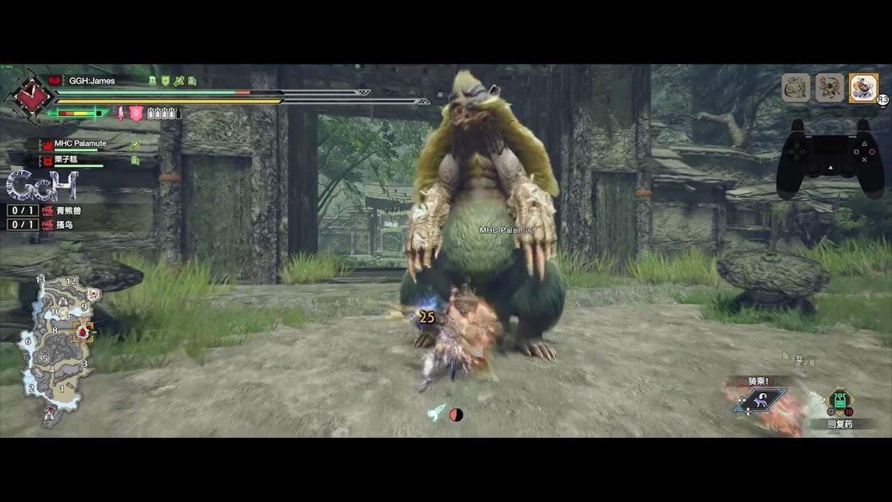 只狼：影逝二度 完整版 截图17